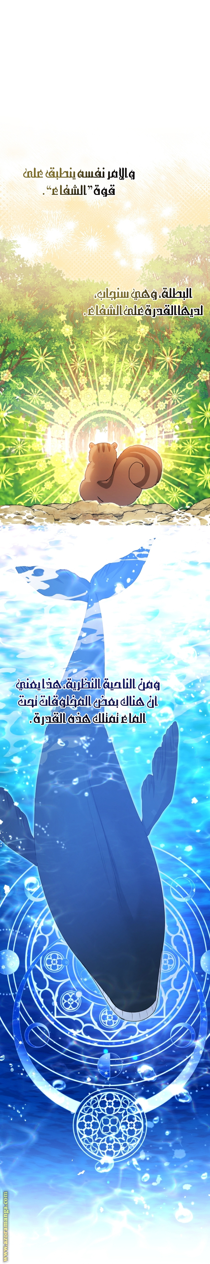 الصفحة 13