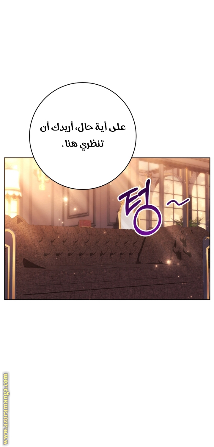 الصفحة 42