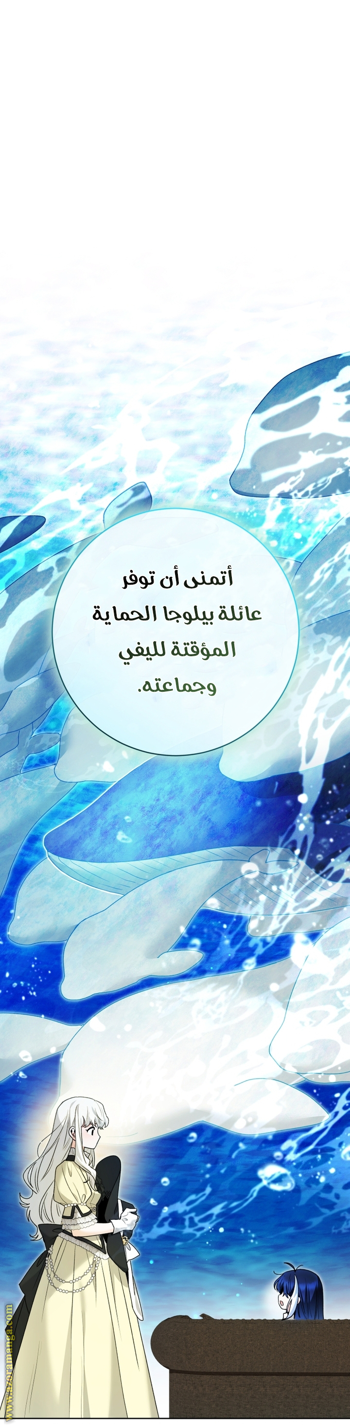 الصفحة 46