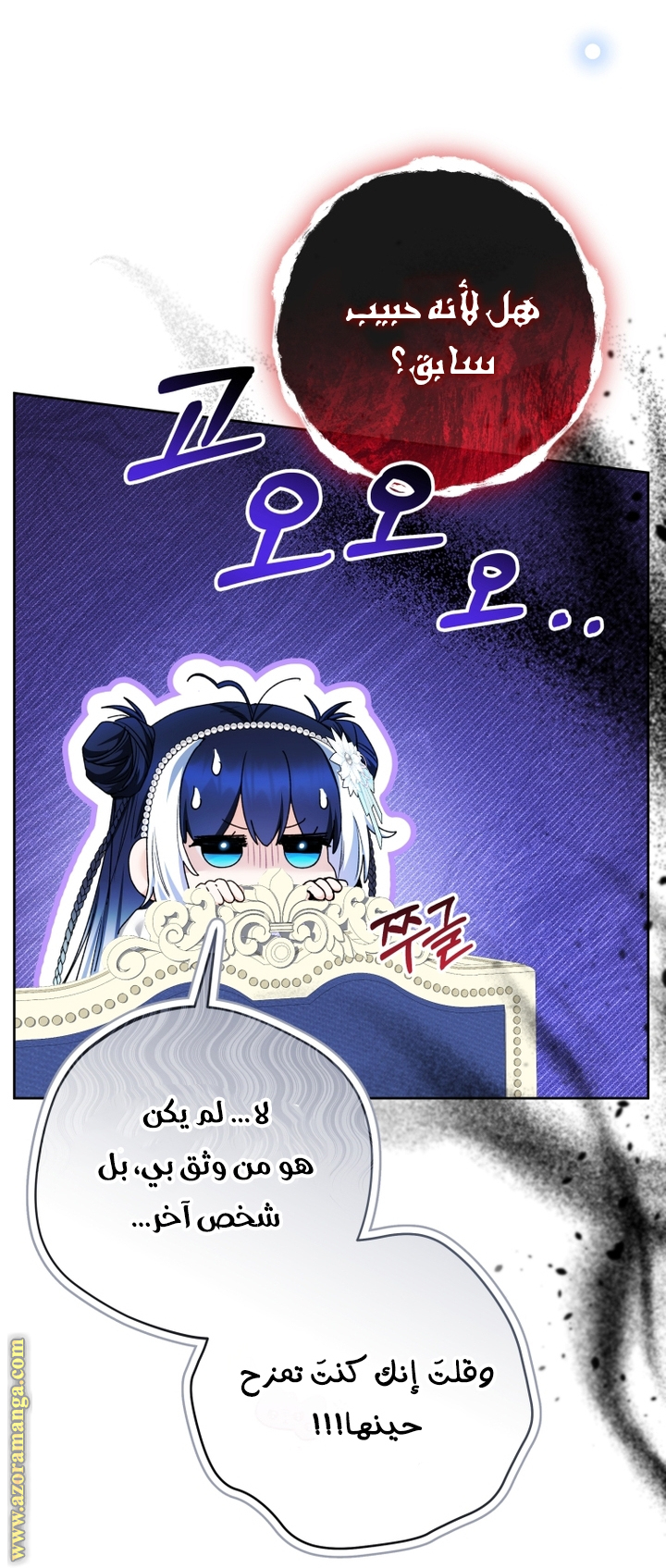 الصفحة 17