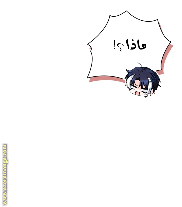 الصفحة 42