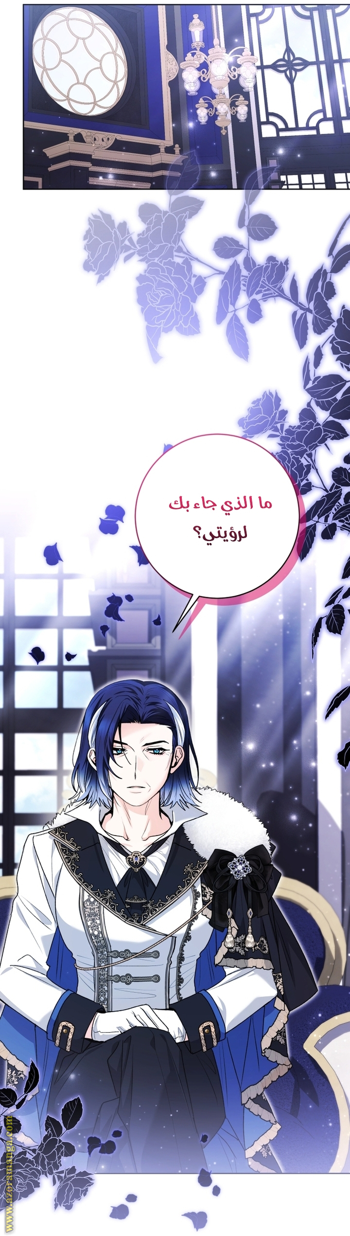 الصفحة 43