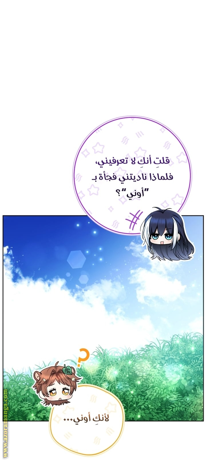الصفحة 17
