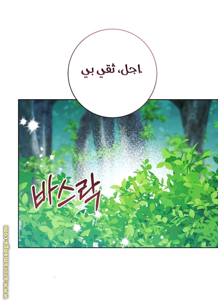 الصفحة 26
