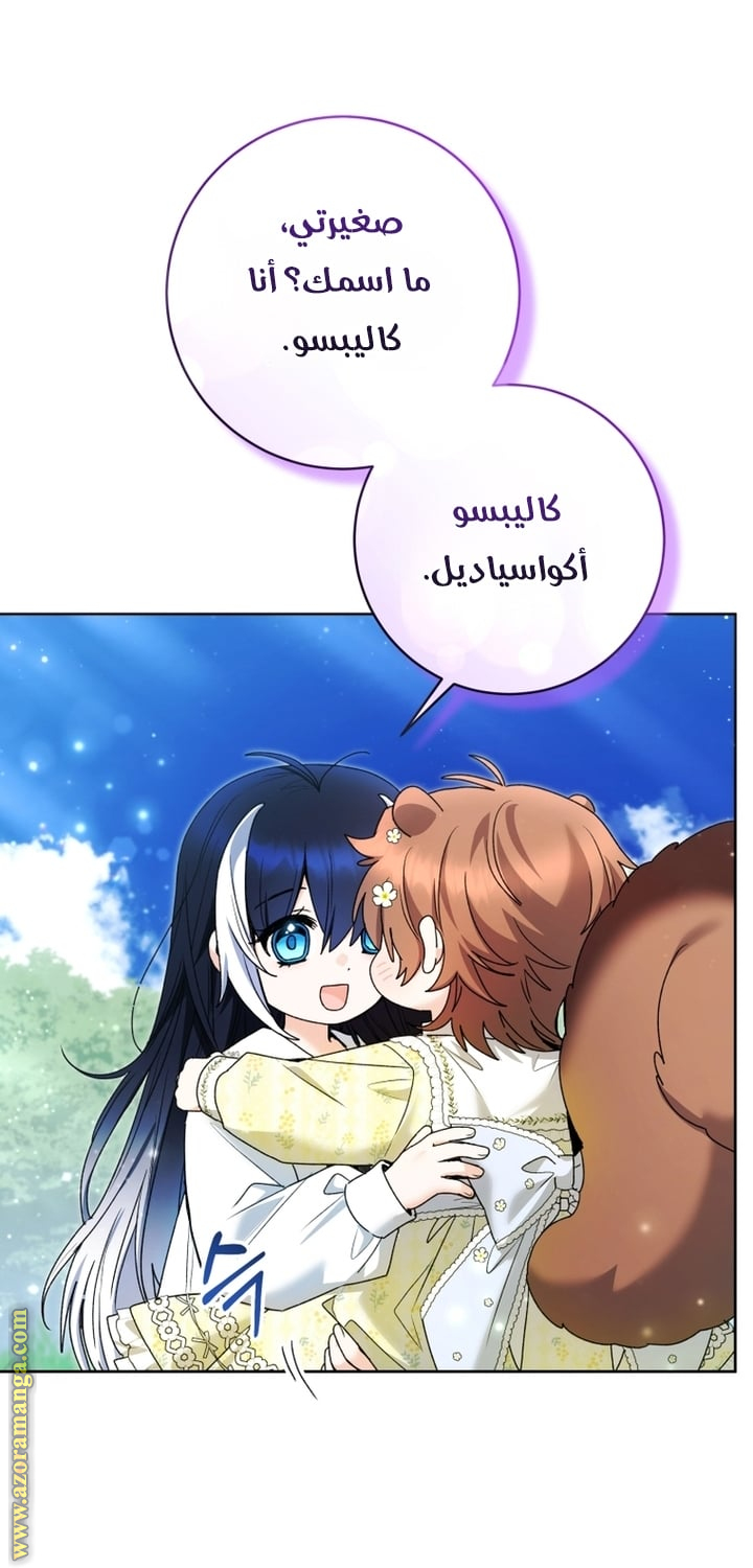 الصفحة 46