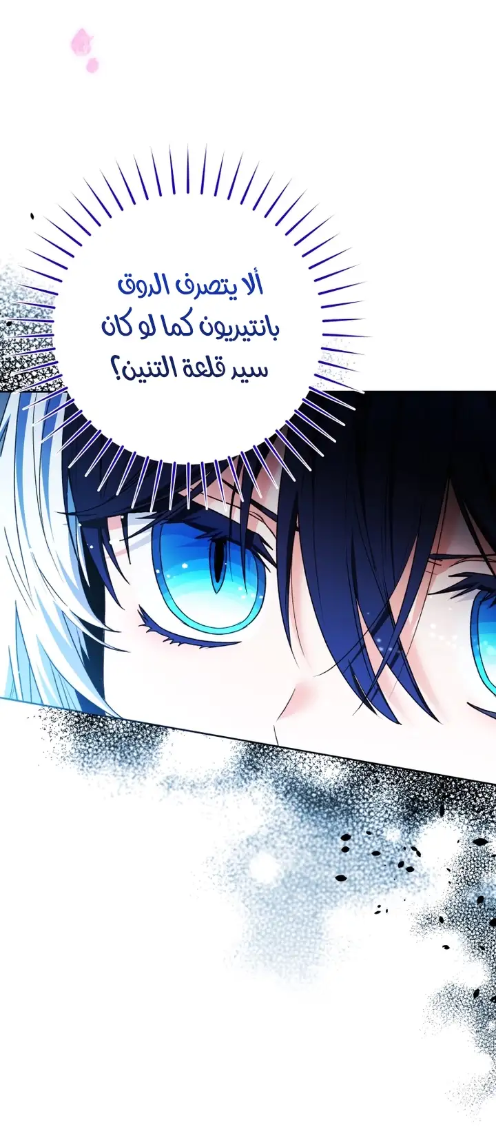 الصفحة 26