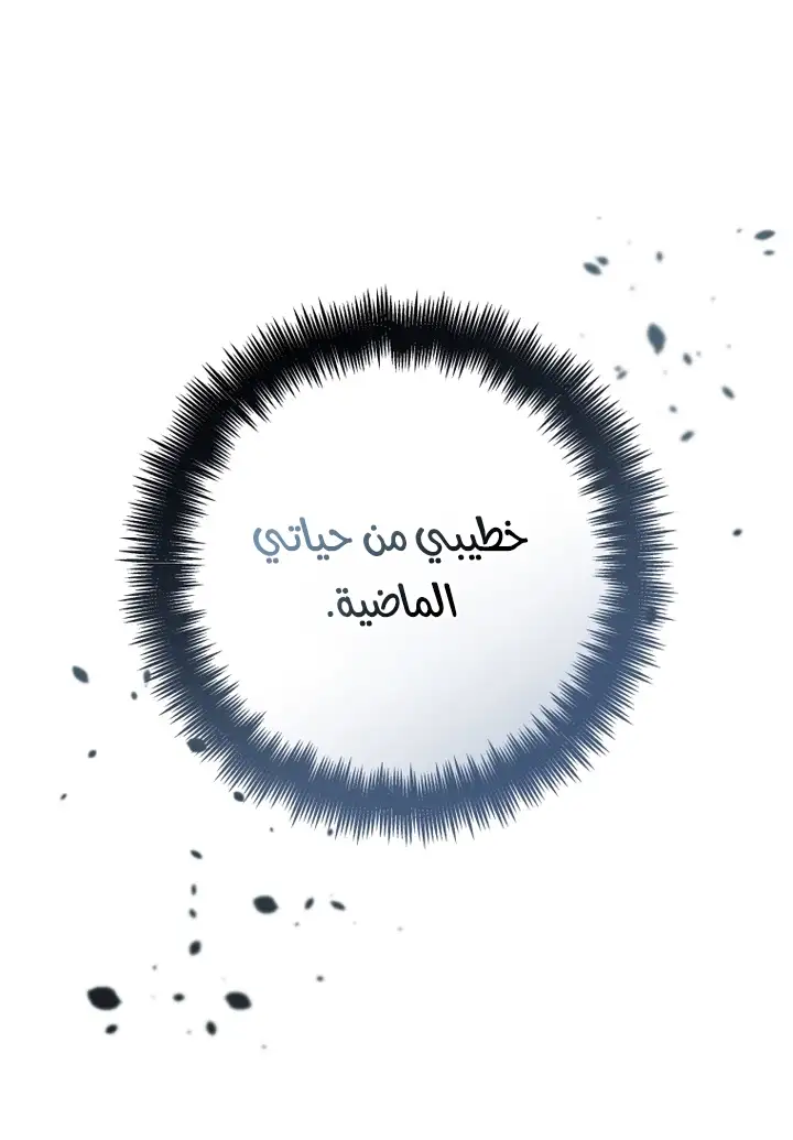 الصفحة 37