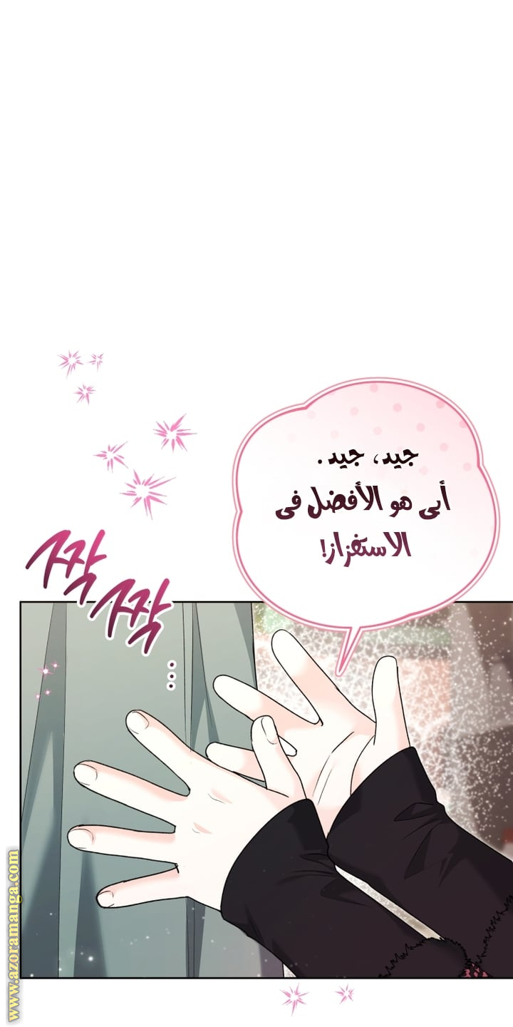 الصفحة 30