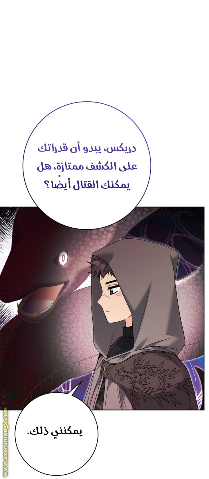 الصفحة 13