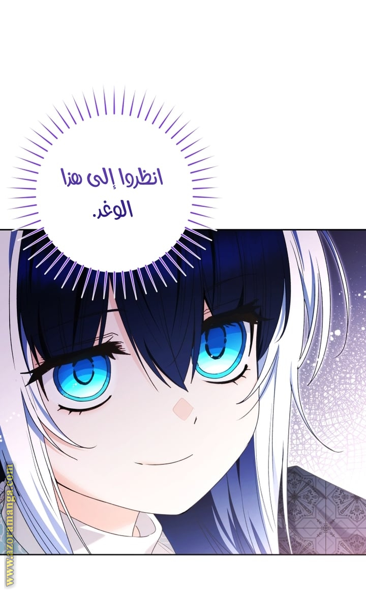 الصفحة 27