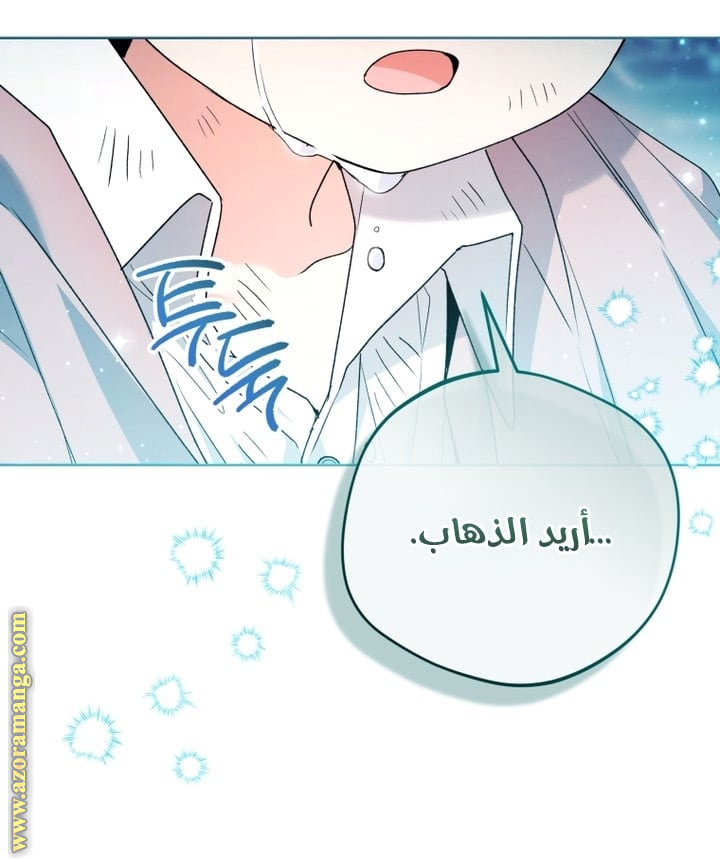 الصفحة 24