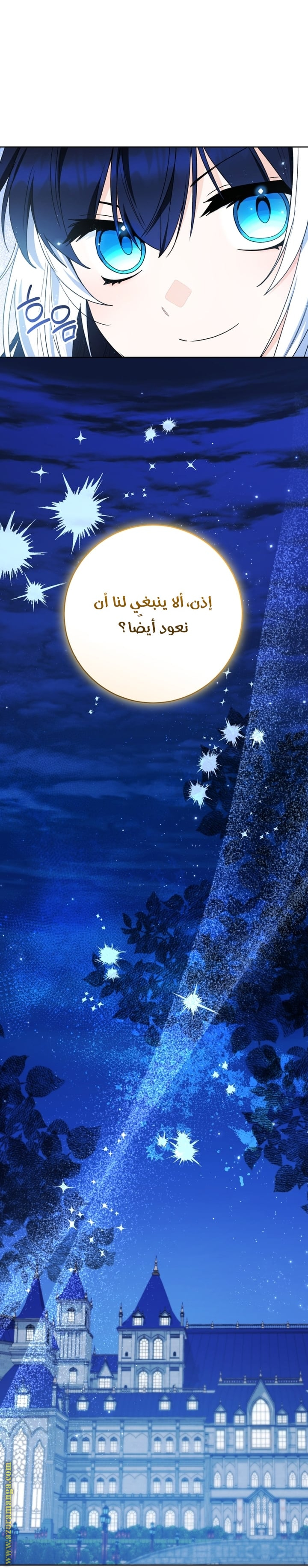 الصفحة 43