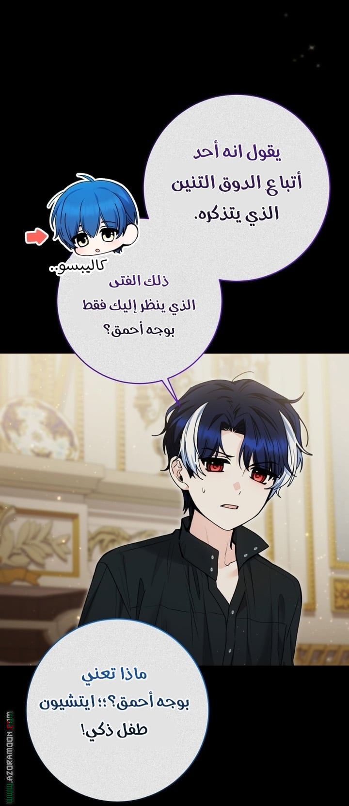 الصفحة 14