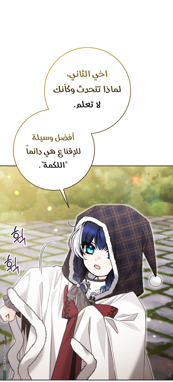 الصفحة 17