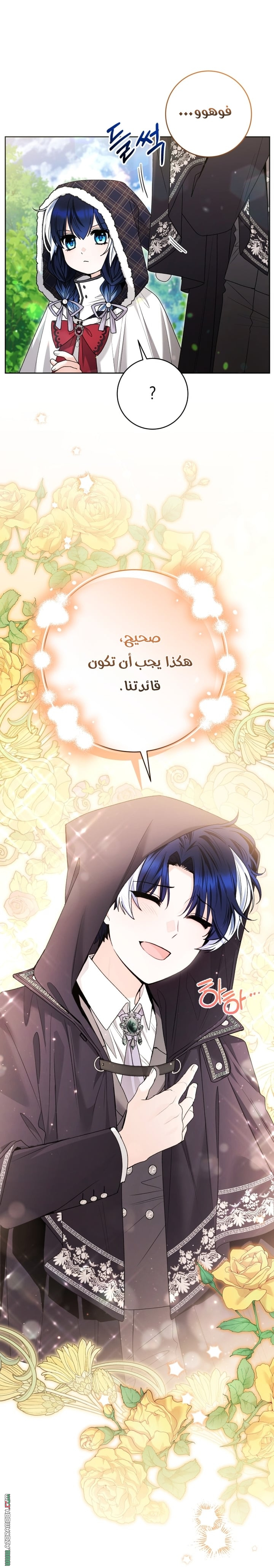 الصفحة 19