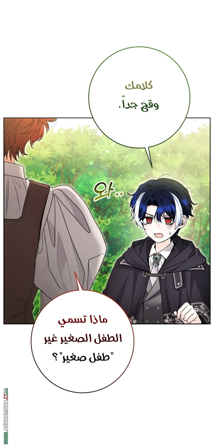 الصفحة 26
