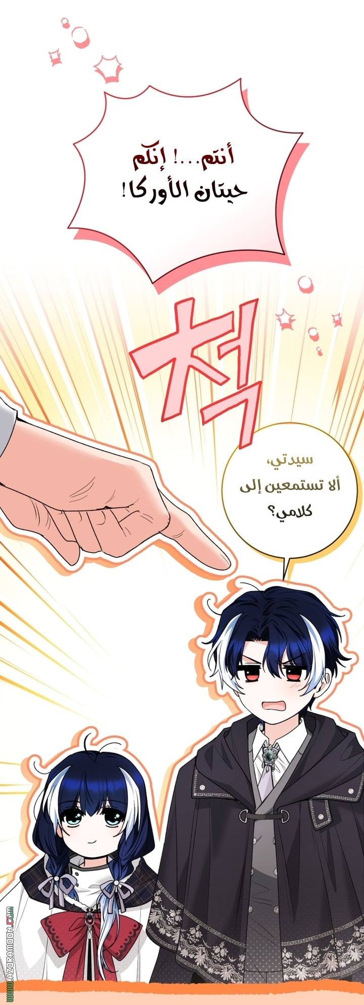 الصفحة 28