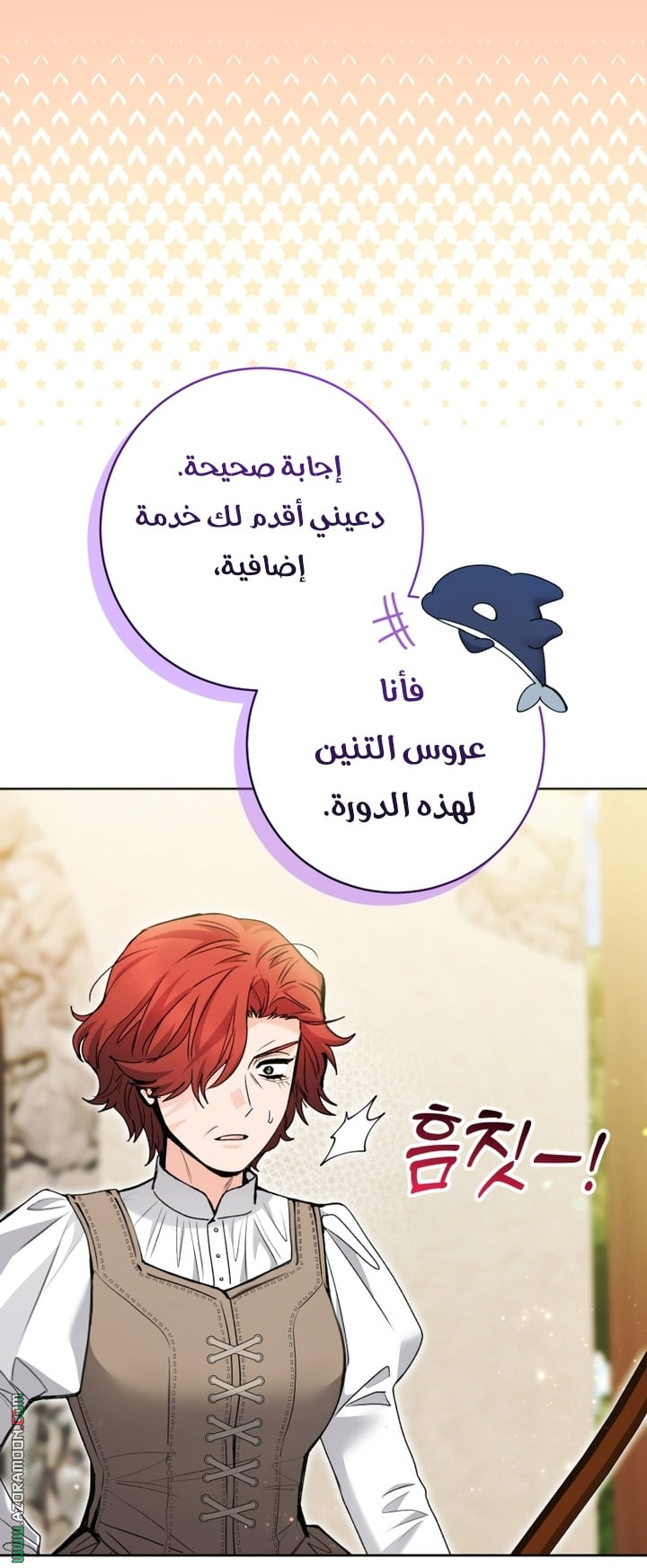 الصفحة 29