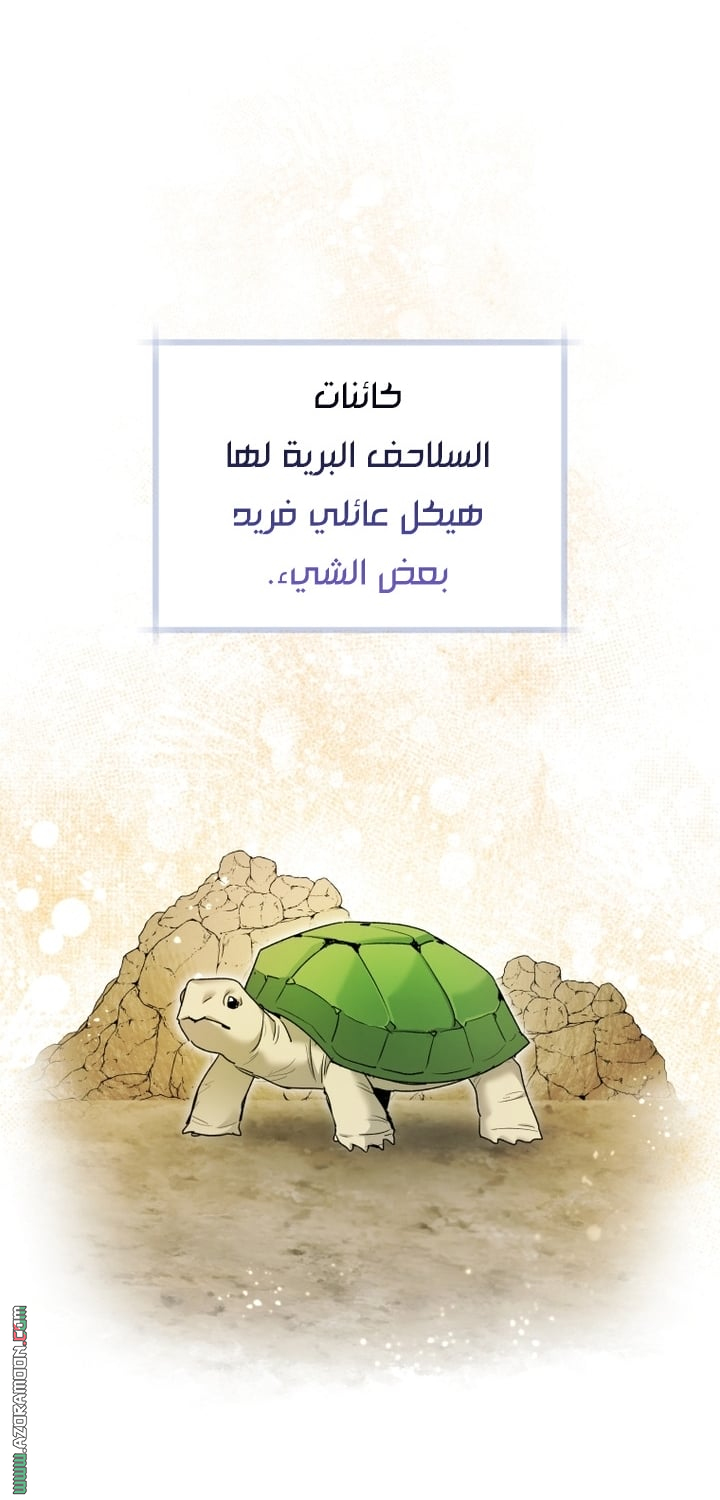 الصفحة 33