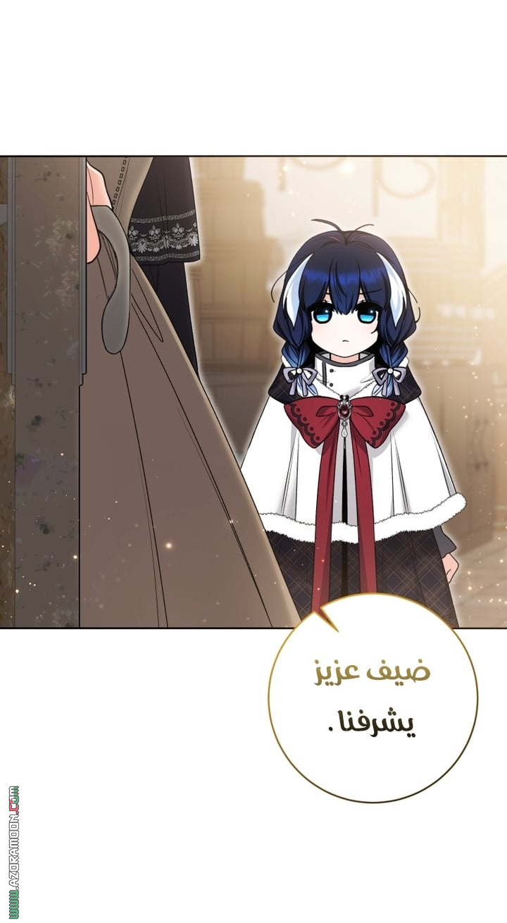الصفحة 37