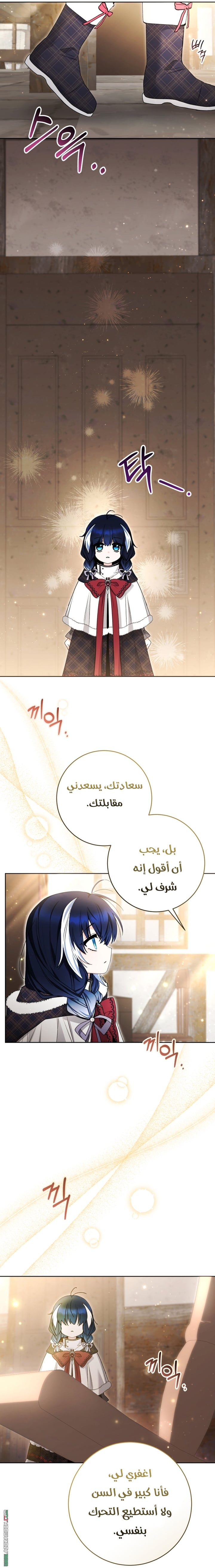 الصفحة 40