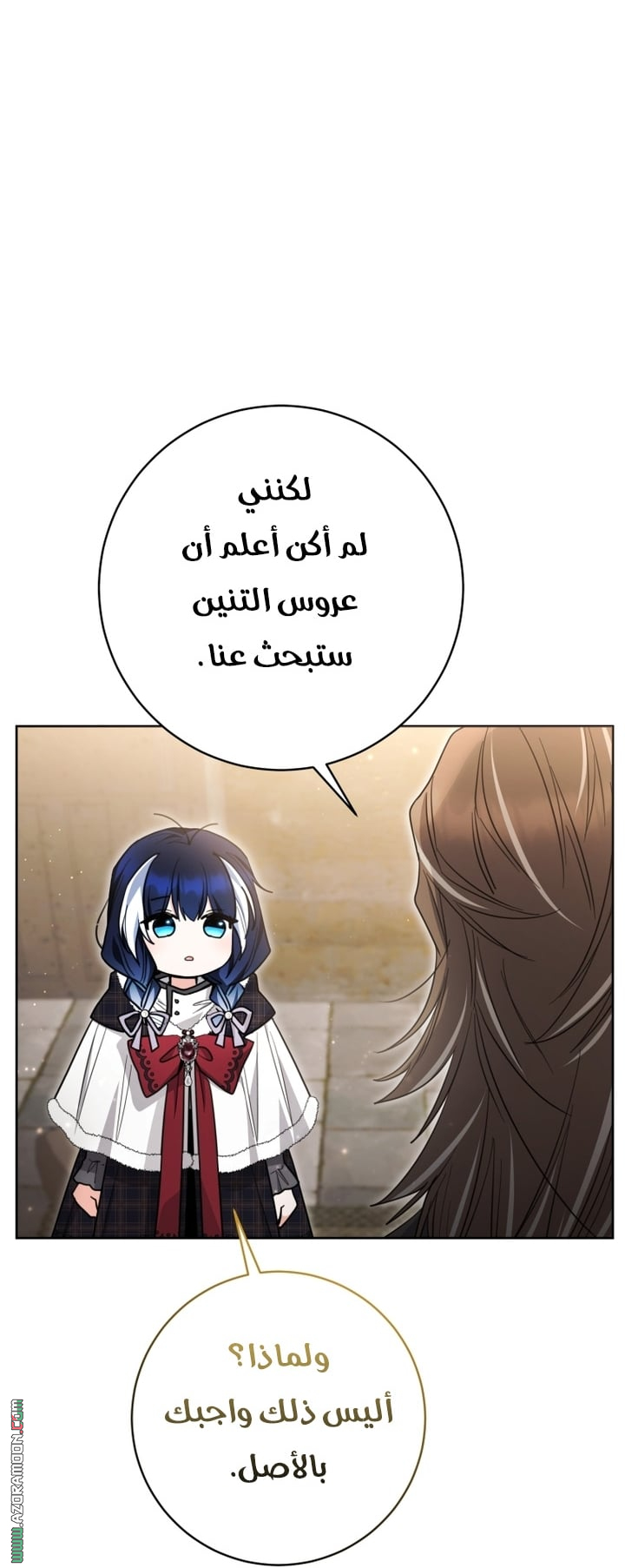 الصفحة 42