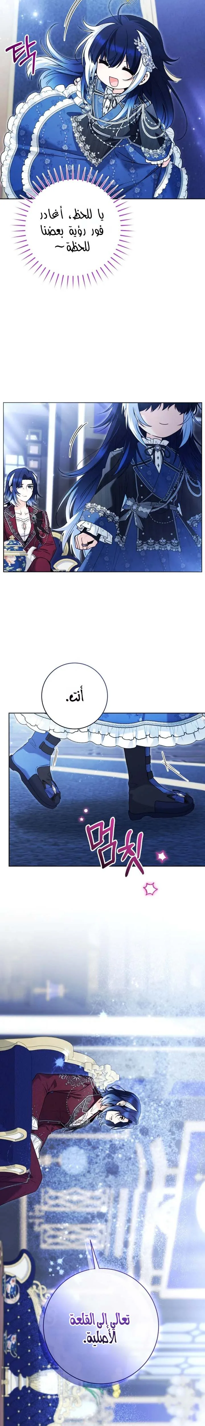 الصفحة 12