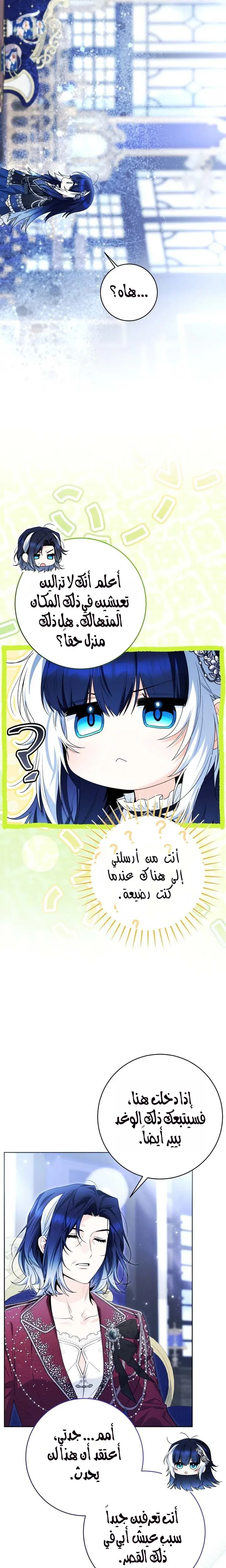 الصفحة 13