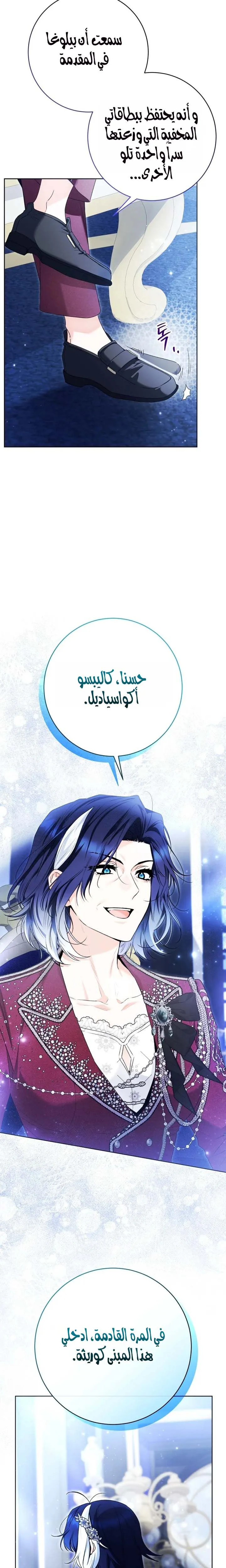 الصفحة 17