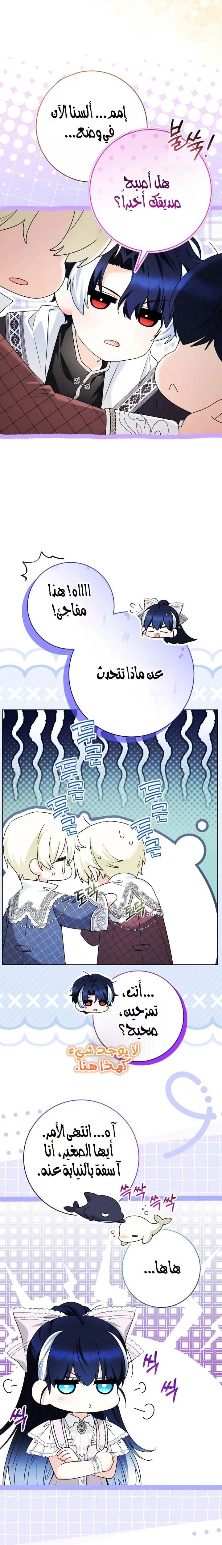 الصفحة 26