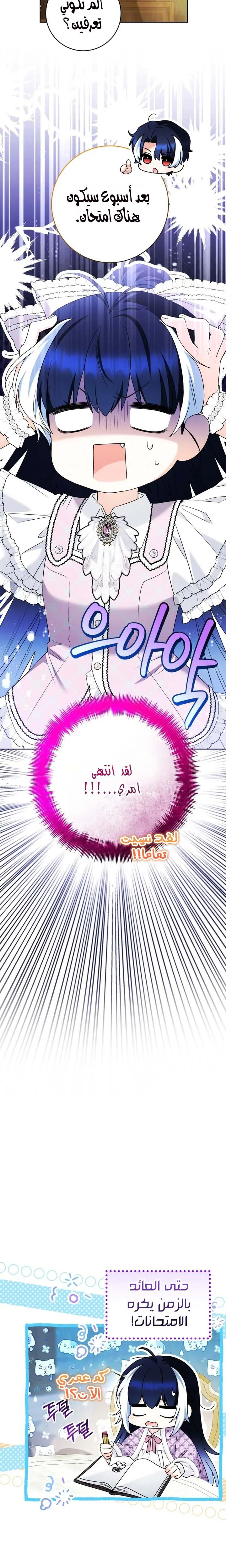 الصفحة 28