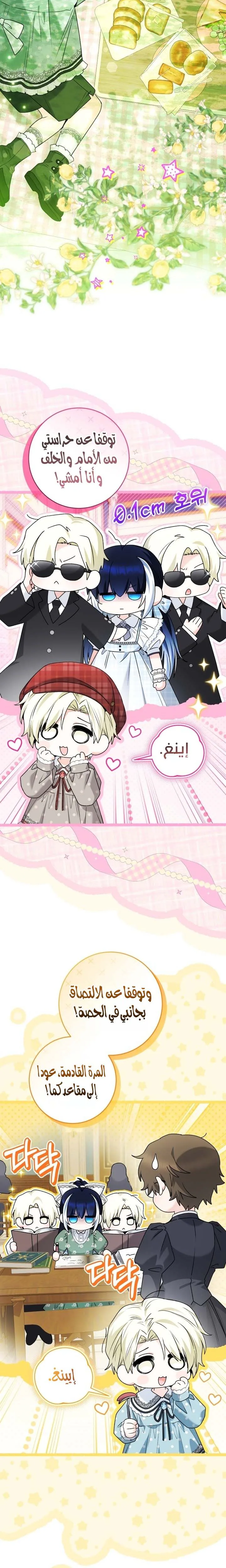 الصفحة 17