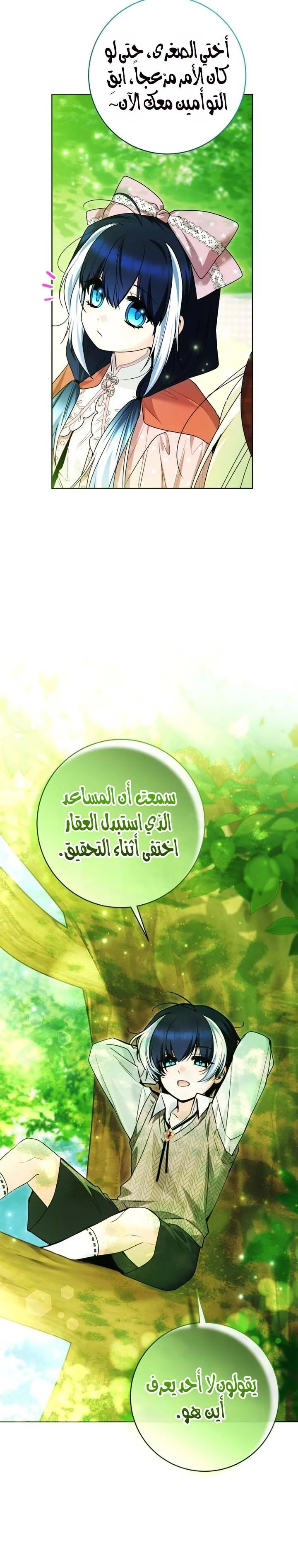 الصفحة 20