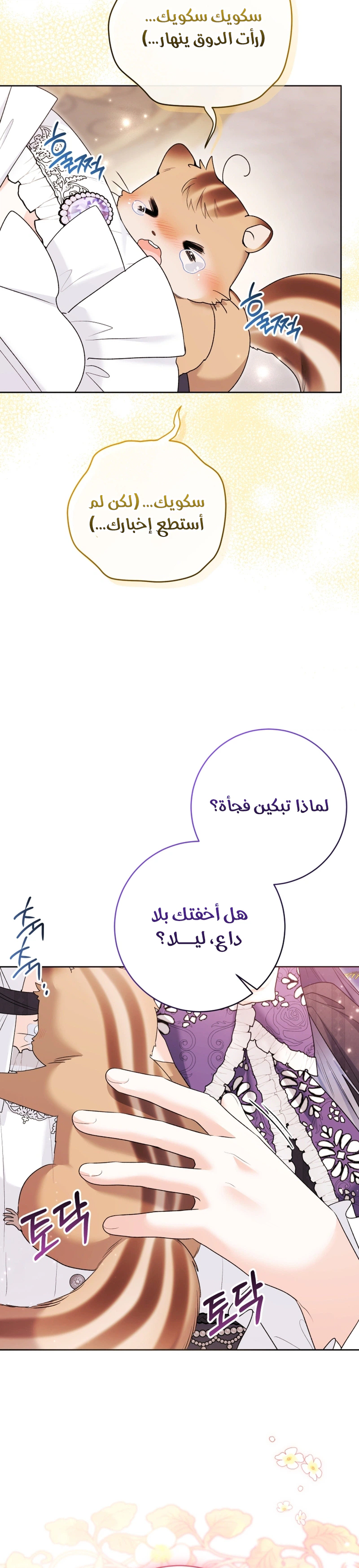 الصفحة 24