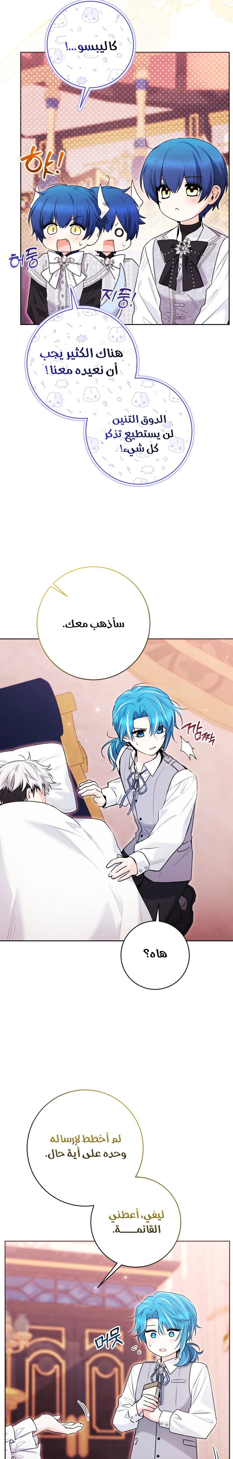 الصفحة 28