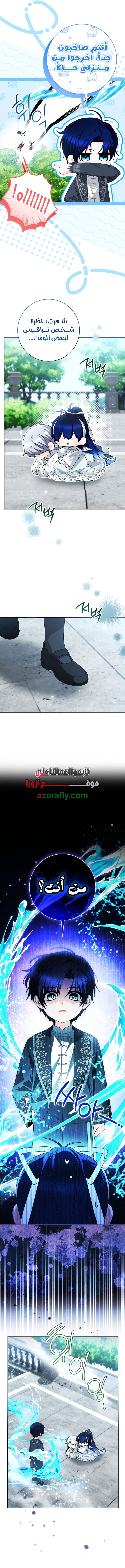 الصفحة 2