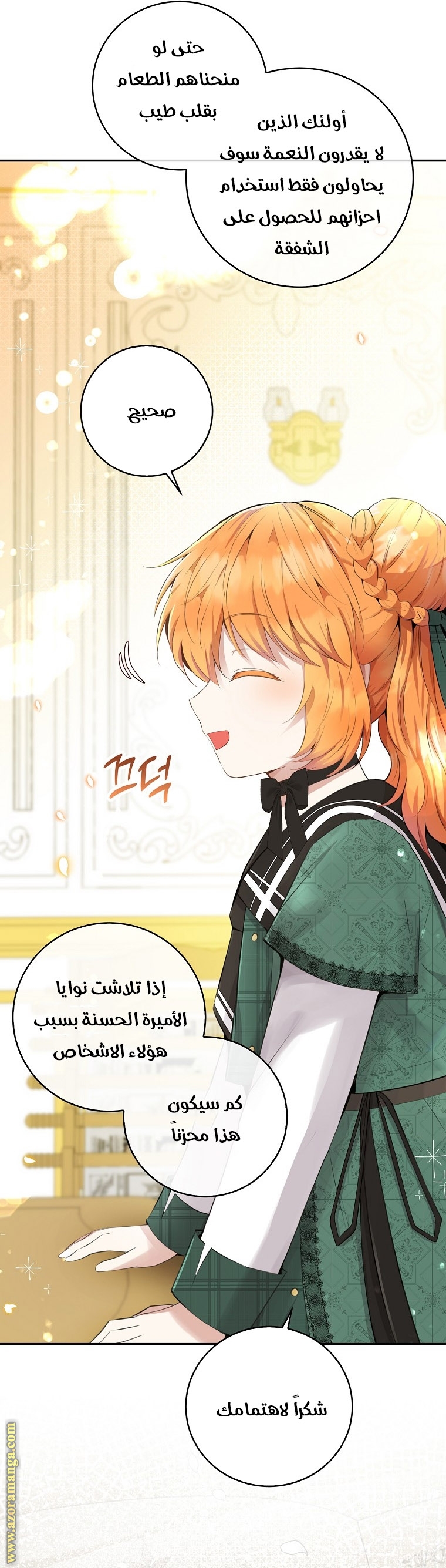 الصفحة 17