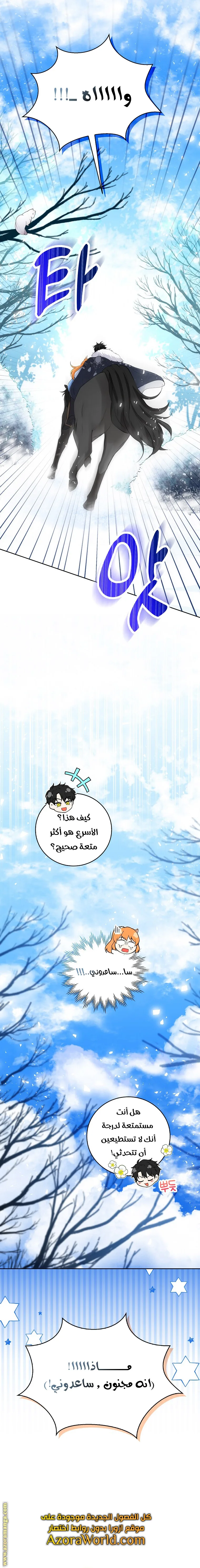 الصفحة 20