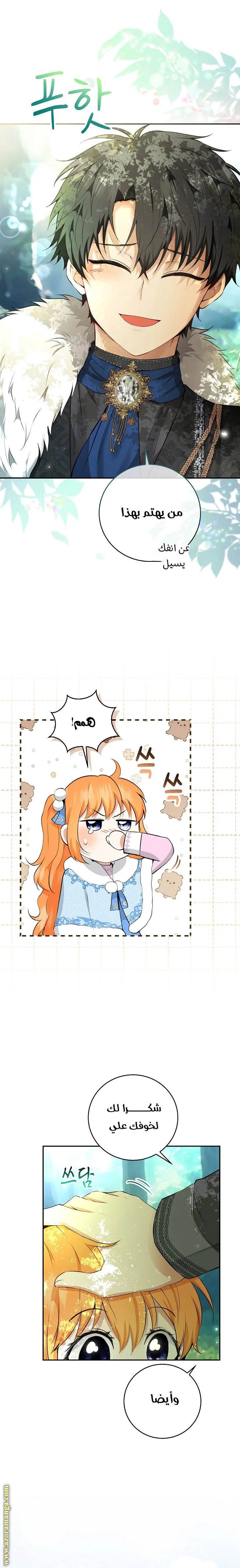 الصفحة 15