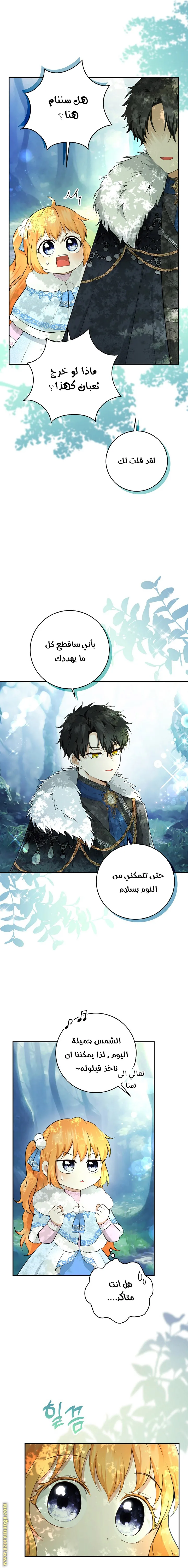 الصفحة 17