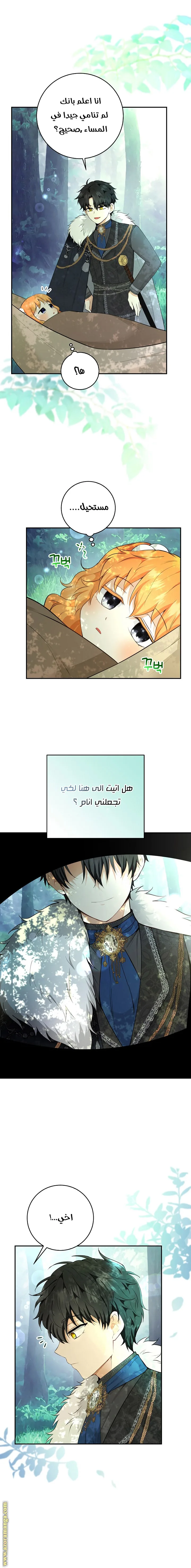 الصفحة 20