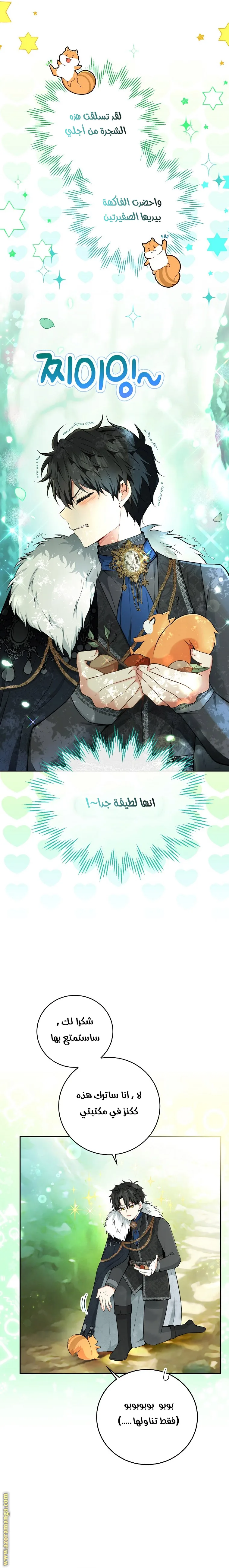 الصفحة 12