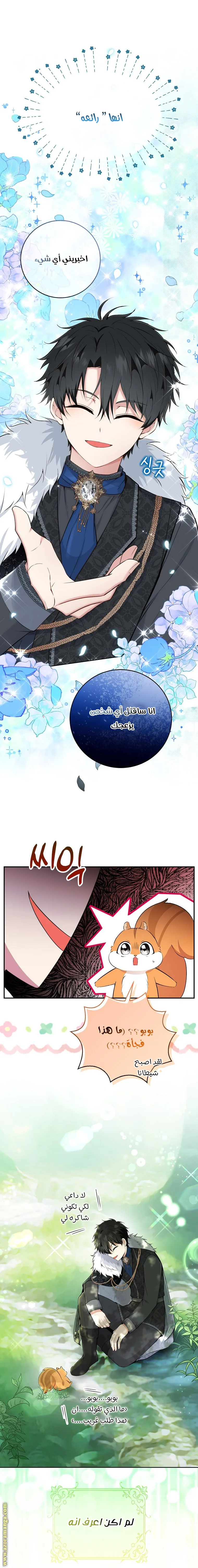 الصفحة 17