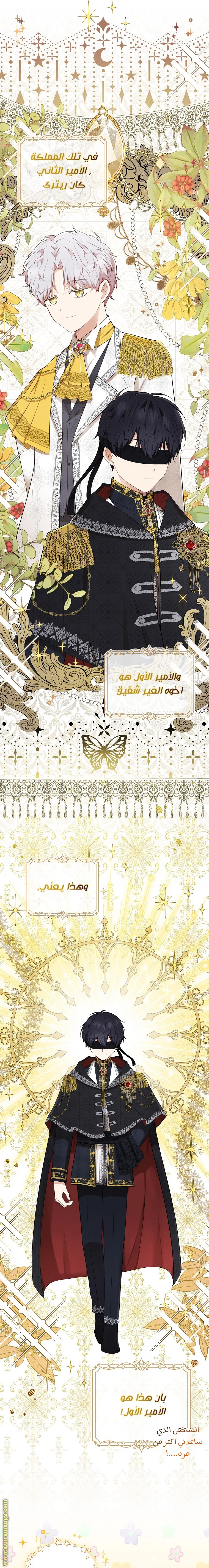الصفحة 13