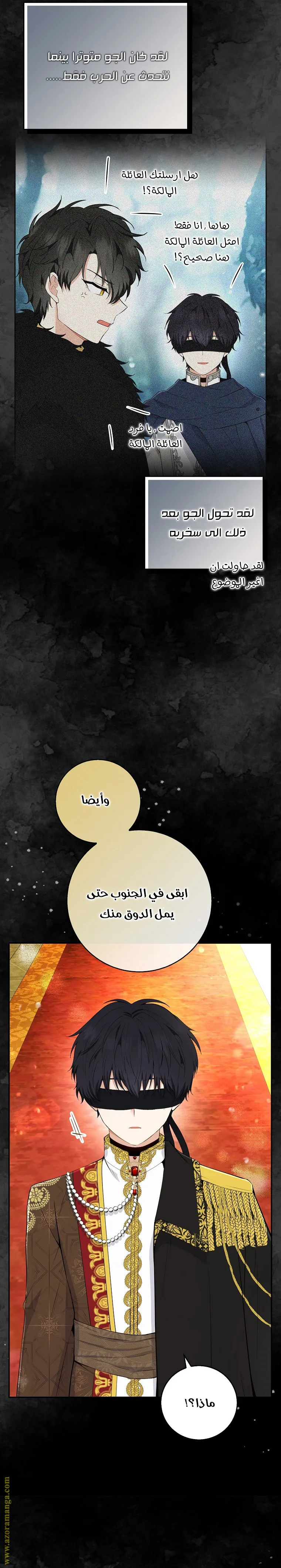 الصفحة 17