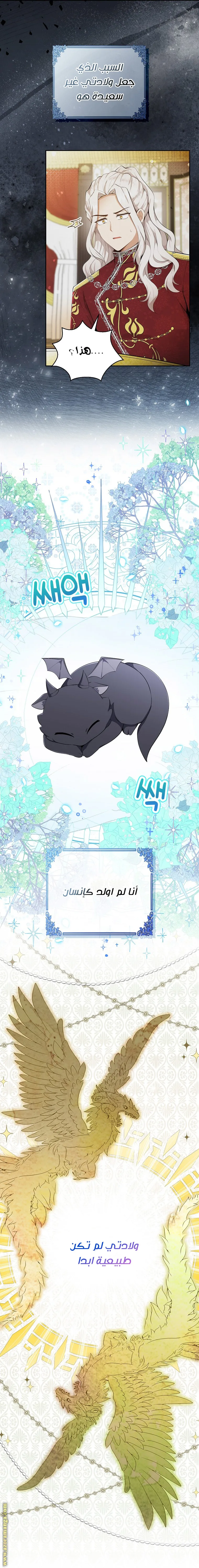 الصفحة 2