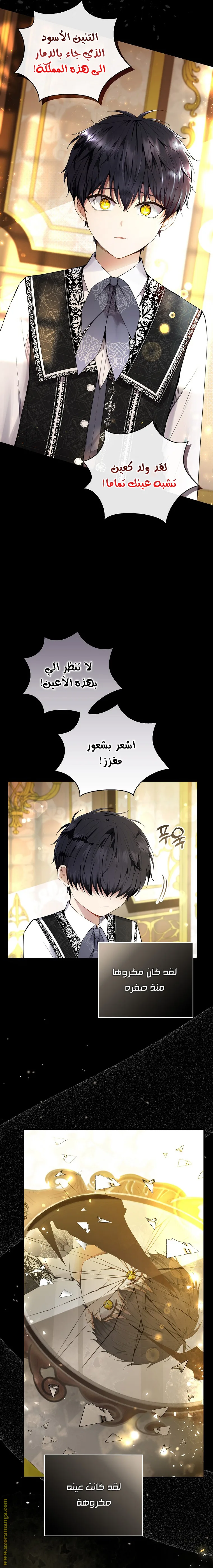 الصفحة 5