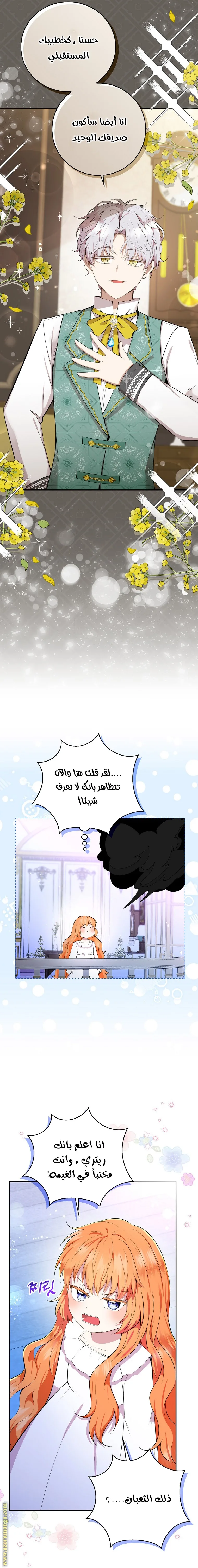 الصفحة 21