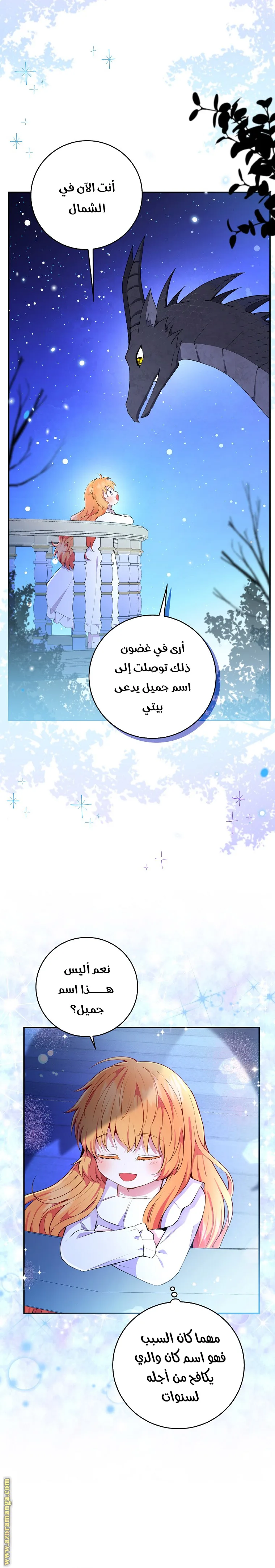 الصفحة 3