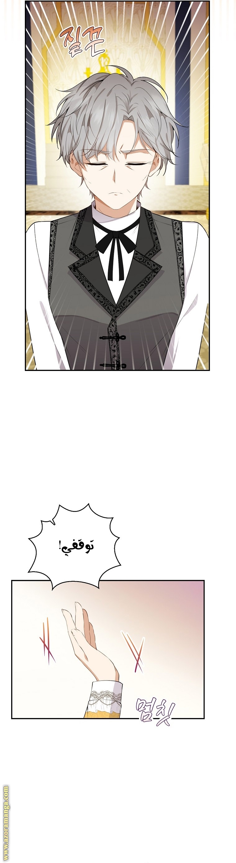 الصفحة 25